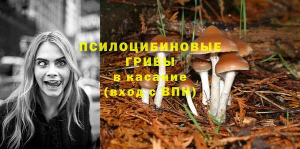 СК Козловка
