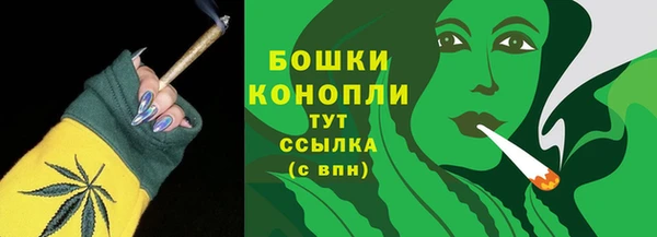 СК Козловка