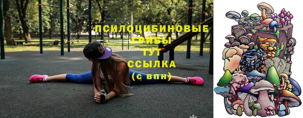 СК Козловка