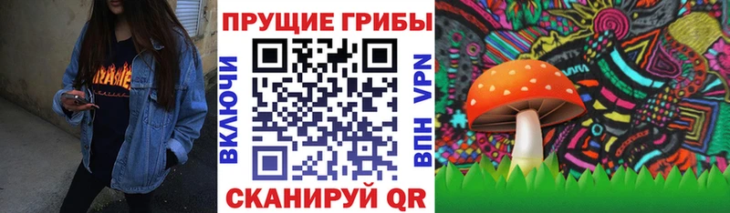 Купить  Дивногорск  Псилоцибиновые грибы мухоморы 