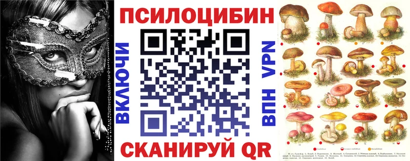 Псилоцибиновые грибы Psilocybe Дивногорск